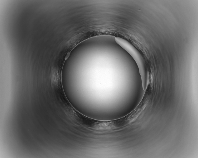 X0000094190129200710261139