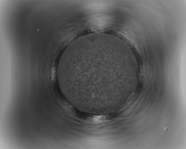 X0000094190130200710261139