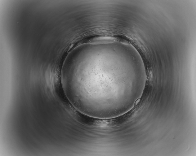 X0000094190131200710261139