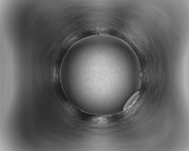 X0000094190140200710261139