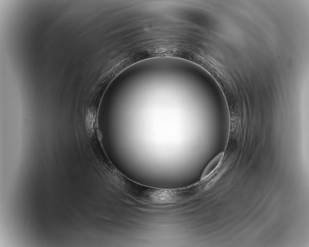 X0000094190142200710261139