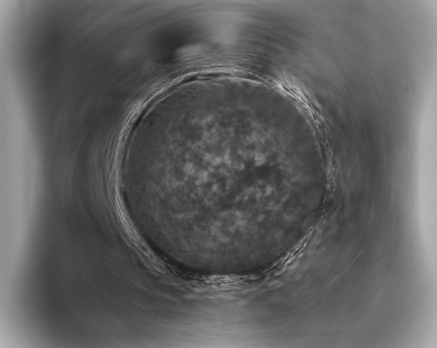 X0000094190145200710261138
