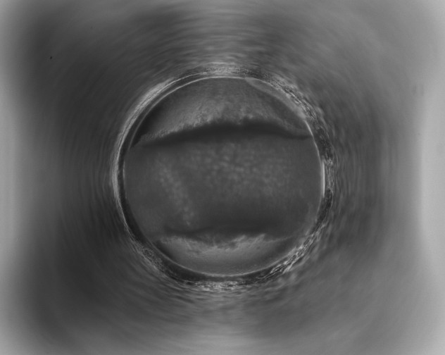 X0000094190147200710261138
