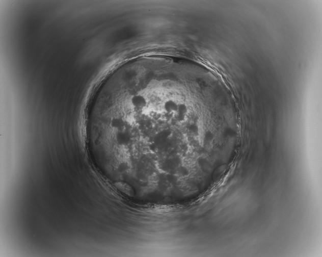 X0000094190149200710261138