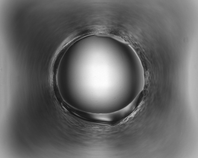 X0000094190150200710261138