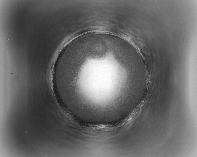 X0000094190151200710261138