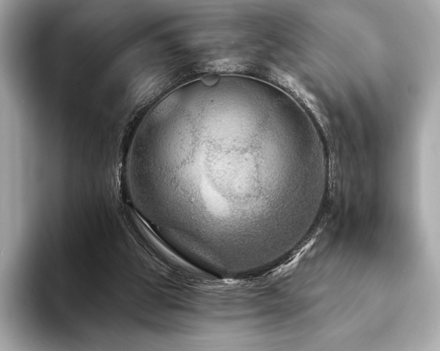 X0000094190153200710261138