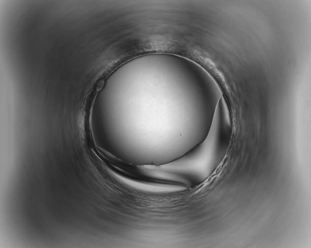 X0000094190154200710261138