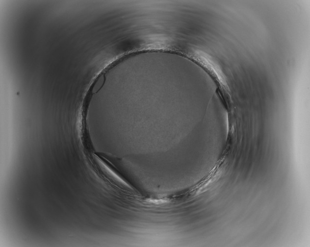X0000094190156200710261138