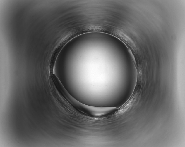 X0000094190158200710261139