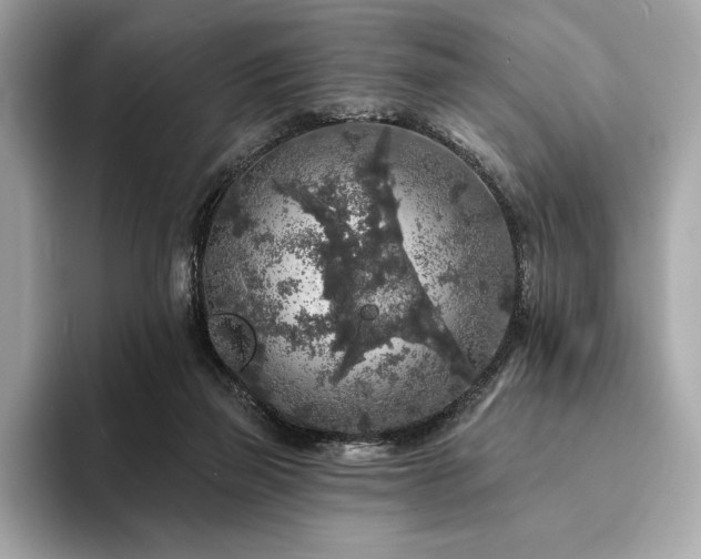 X0000094190165200710261139