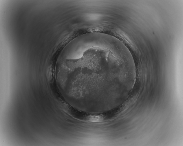 X0000094190169200710261139