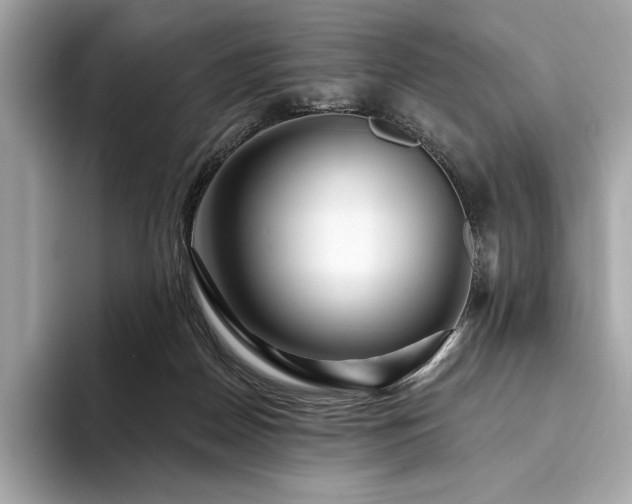 X0000094190170200710261139