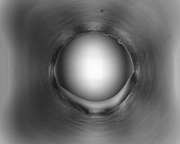 X0000094190172200710261139