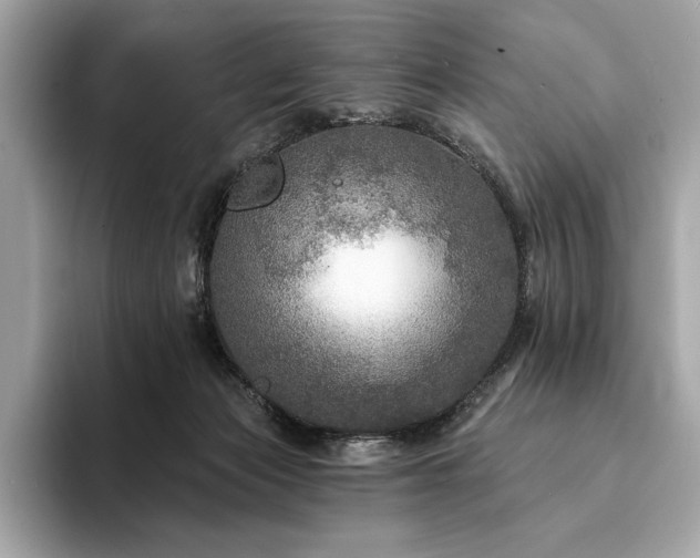 X0000094190173200710261139