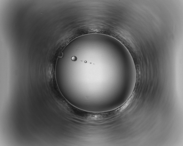 X0000094190174200710261139