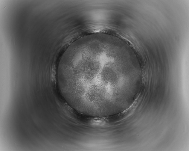X0000094190175200710261139