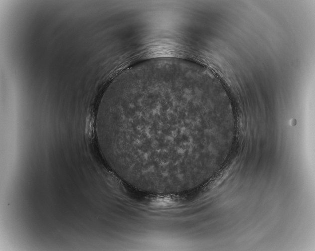 X0000094190177200710261139