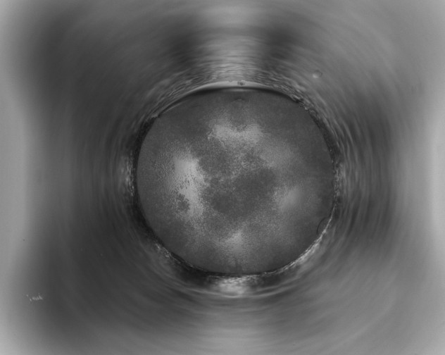 X0000094190178200710261139