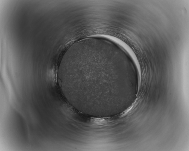 X0000094190180200710261139
