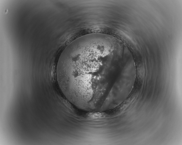X0000094190181200710261139