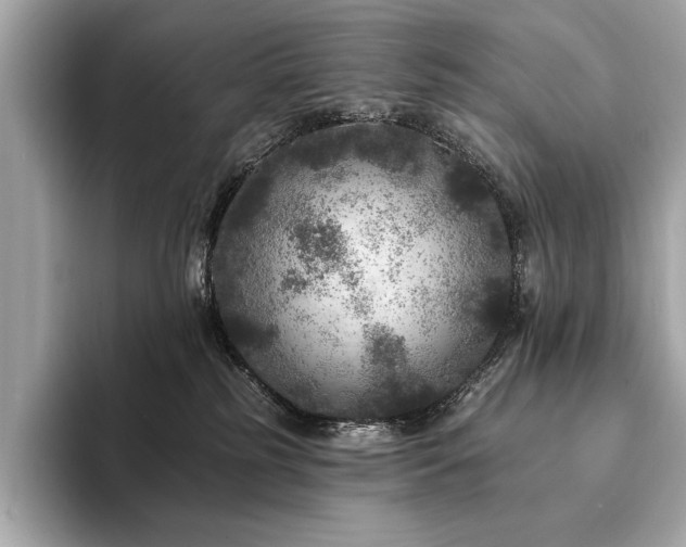 X0000094190185200710261139