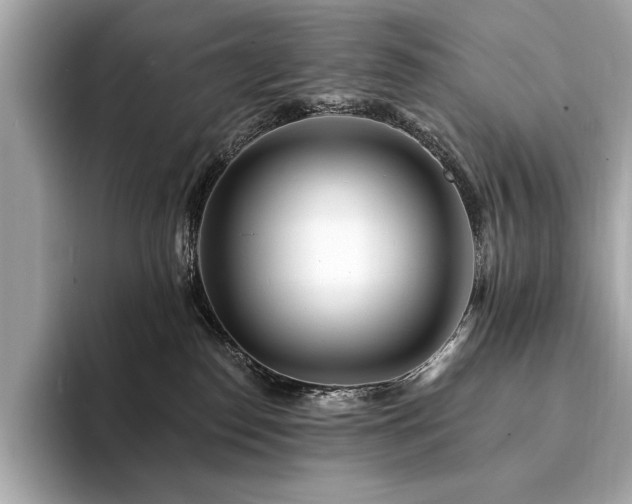 X0000094190186200710261139