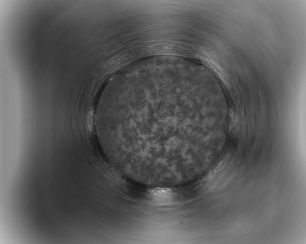 X0000094190189200710261139
