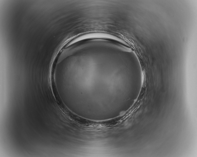 X0000094190195200710261138