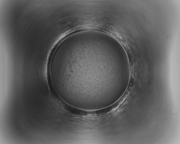 X0000094190196200710261138