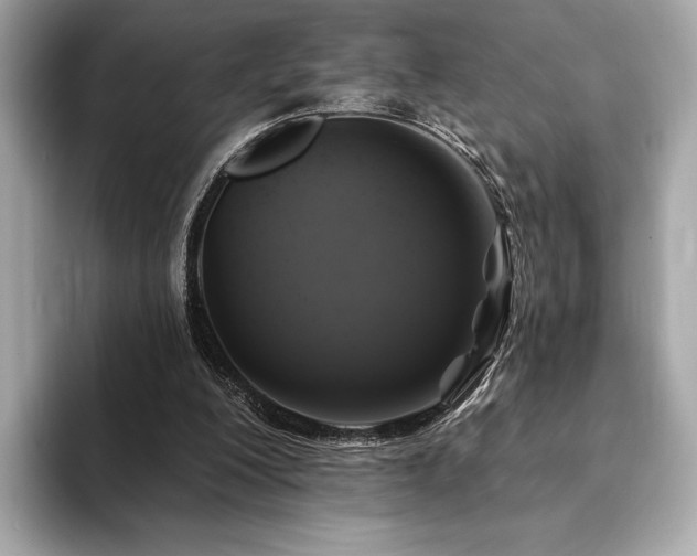 X0000094190200200710261138