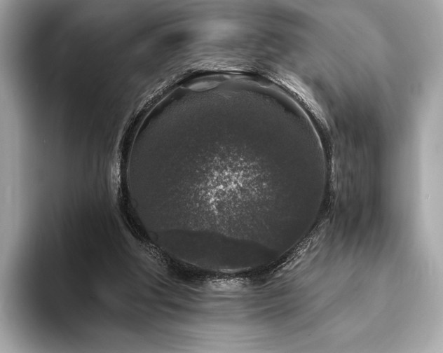 X0000094190202200710261138