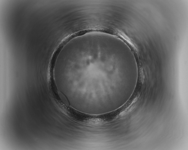 X0000094190203200710261138