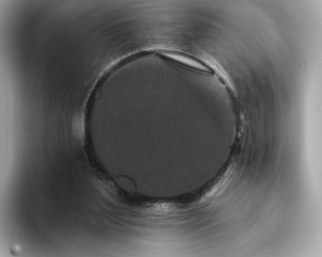 X0000094190204200710261138