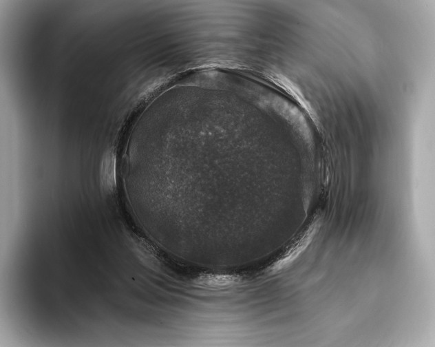 X0000094190205200710261138