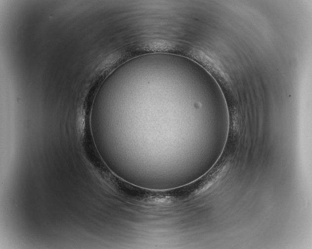 X0000094190206200710261138