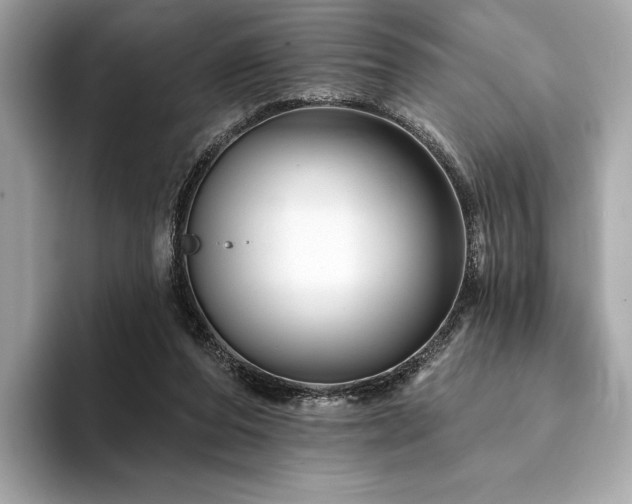 X0000094190208200710261138