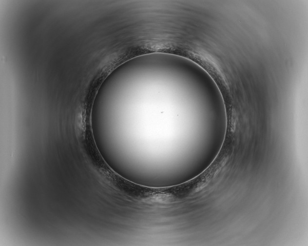 X0000094190210200710261138