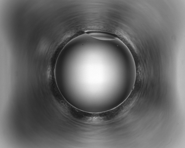 X0000094190212200710261138