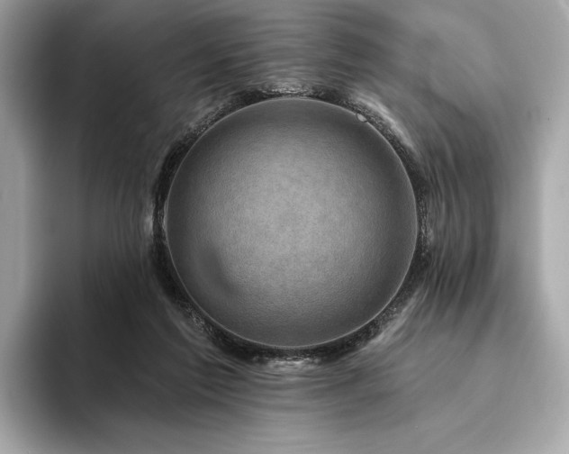 X0000094190213200710261138