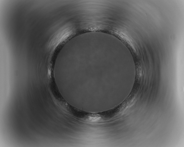 X0000094190214200710261138