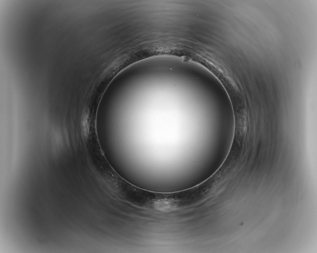 X0000094190216200710261138