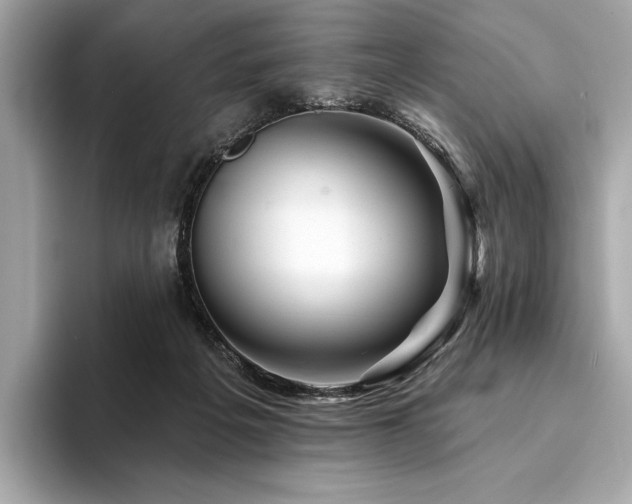 X0000094190217200710261138