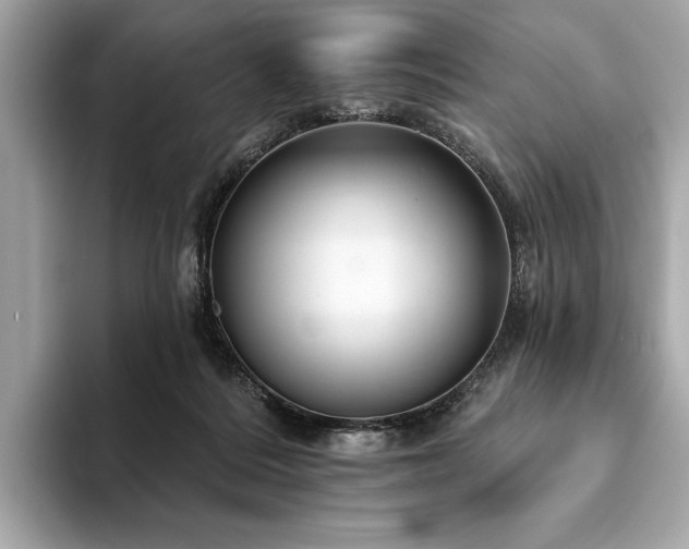 X0000094190220200710261138