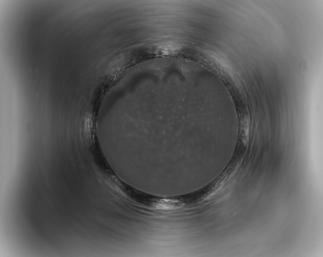 X0000094190222200710261138