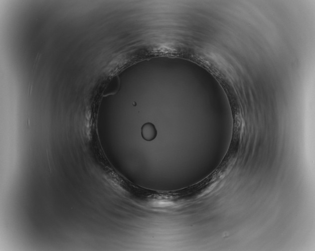 X0000094190223200710261138