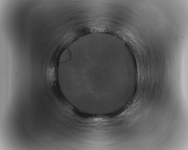 X0000094190224200710261138