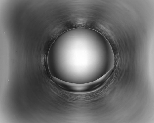 X0000094190225200710261138