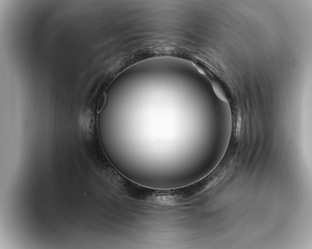 X0000094190228200710261138