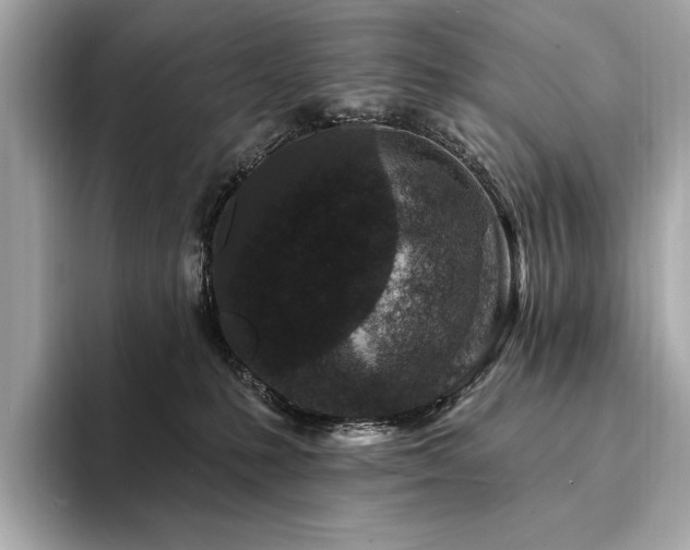 X0000094190231200710261138